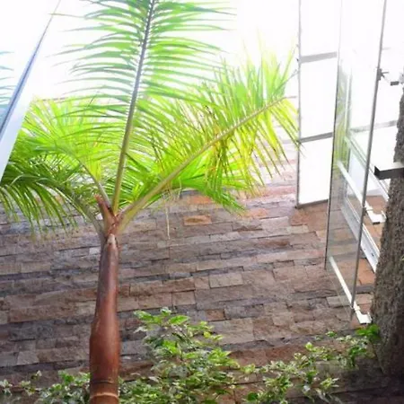 Villa Exclusive In Bahia Del Duque *