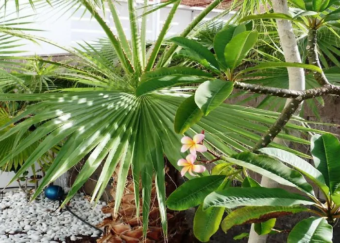 Villa Exclusive In Bahia Del Duque